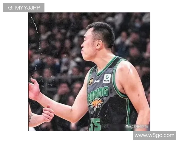 2017年CBA新疆队对阵辽宁队精彩直播回顾与赛况分析