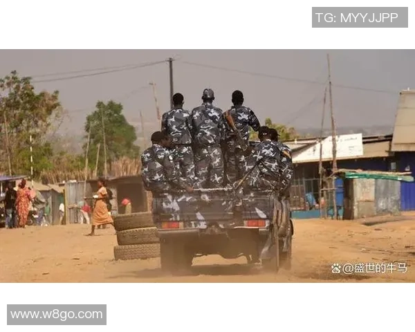 南苏丹与苏丹实力对比分析及未来发展趋势探讨