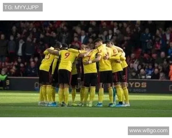 布雷战沃特福德联激战在即球迷期待精彩对决与精彩进球